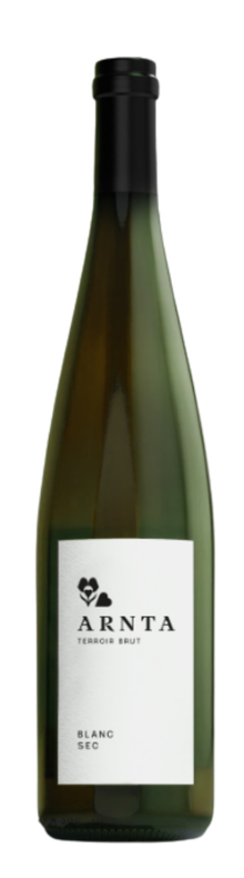 Auxerrois, Arnta 2024