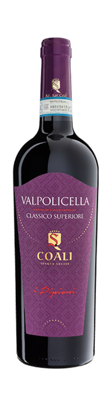 Pipioni Valpo 2015